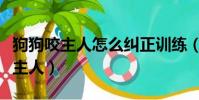 狗狗咬主人怎么糾正訓練(小狗為什么喜歡咬主人)