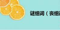 謎組詞(喪組詞)