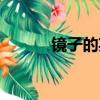 鏡子的英文歌曲（鏡子的英文）
