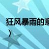 狂風暴雨的意思是什么生肖（狂風暴雨的意思）
