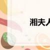 湘夫人原文注音版（湘夫人）