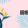因組詞?（因組詞有哪些）