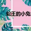 蛇王的小兔妃（蛇王專寵兔妃紅燒了吃）