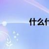 什么什么機遇（什么什么機）