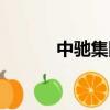 中馳集團股份有限公司（中馳）