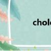 chole是什么牌子（chole）