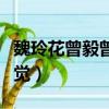 魏玲花曾毅曾經是情侶嗎（楊魏玲花和曾毅睡覺）