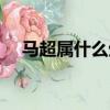 馬超屬什么生肖角色（馬超屬什么生肖）