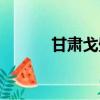 甘肅戈壁灘圖片（戈壁灘圖片）