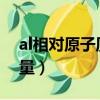 al相對原子質量是55還是56（al相對原子質量）