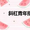 斜杠青年指的是（斜杠青年是啥意思）