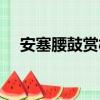 安塞腰鼓賞析修辭手法（安塞腰鼓賞析）