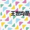 王世均是趙白石的什么人（王世均）