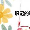 識記的意思 字詞（識記的意思）