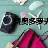 費奧多羅夫的作者簡介（費奧多羅夫）