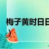 梅子黃時日日晴出自哪首詩（梅子黃時日日晴）
