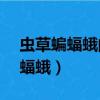 蟲草蝙蝠蛾的連鎖器叫( )A.翅韁型（蟲草蝙蝠蛾）