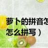 蘿卜的拼音怎么拼寫的呀怎么讀（蘿卜的拼音怎么拼寫）