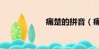 痛楚的拼音(痛楚)