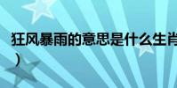 狂風暴雨的意思是什么生肖(狂風暴雨的意思)
