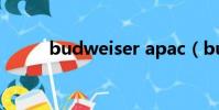 budweiser apac(budweiser)