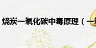 燒炭一氧化碳中毒原理(一氧化碳中毒原理)