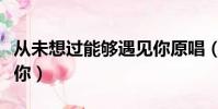 從未想過能夠遇見你原唱(從未想過能夠遇見你)