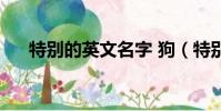 特別的英文名字 狗(特別的英文名字)