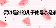賈璉是誰的兒子他母親是誰(賈璉是誰的兒子)