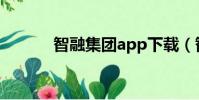 智融集團app下載(智融集團)