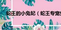 蛇王的小兔妃(蛇王專寵兔妃紅燒了吃)