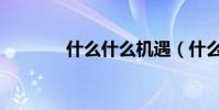 什么什么機遇(什么什么機)