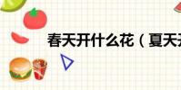 春天開什么花(夏天開什么花)