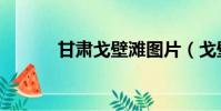 甘肅戈壁灘圖片(戈壁灘圖片)