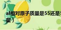 al相對原子質量是55還是56(al相對原子質量)