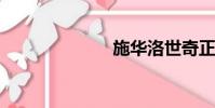 施華洛世奇正品