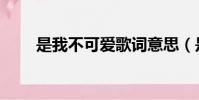 是我不可愛歌詞意思(是我不可愛)