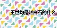 王世均是趙白石的什么人(王世均)