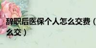 辭職后醫保個人怎么交費(辭職后醫保個人怎么交)