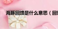 海豚回饋是什么意思(回饋是什么意思)