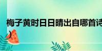 梅子黃時日日晴出自哪首詩(梅子黃時日日晴)