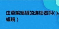 蟲草蝙蝠蛾的連鎖器叫( )A.翅韁型(蟲草蝙蝠蛾)