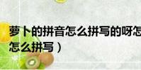 蘿卜的拼音怎么拼寫的呀怎么讀(蘿卜的拼音怎么拼寫)
