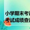 小學期末考試成績查詢入口2023（小學期末考試成績查詢）