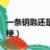 一條鑰匙還是一把鑰匙（配鑰匙三元一把什么梗）