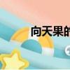 向天果的正確服用方法（向天果）