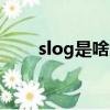 slog是啥意思（sloggi是什么意思）