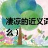 凄涼的近義詞是什么意思（凄涼的近義詞是什么）