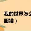 我的世界怎么馴服貓和豹貓（我的世界怎么馴服貓）