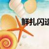 鮮扎閃送多少錢一袋（鮮扎閃送）